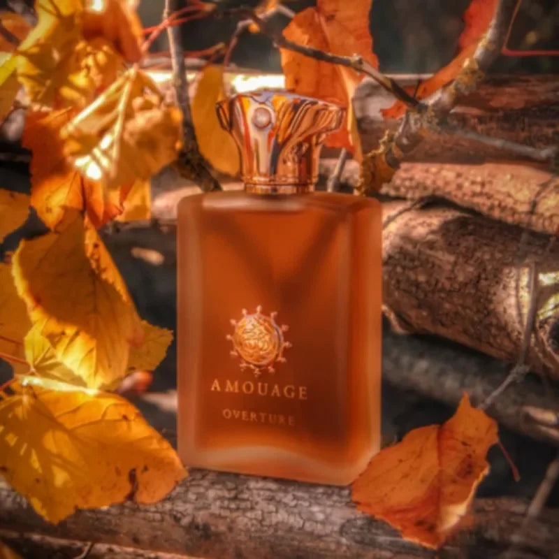 100ml Men’s Eau de Parfum – Long Lasting Woody Fragrance