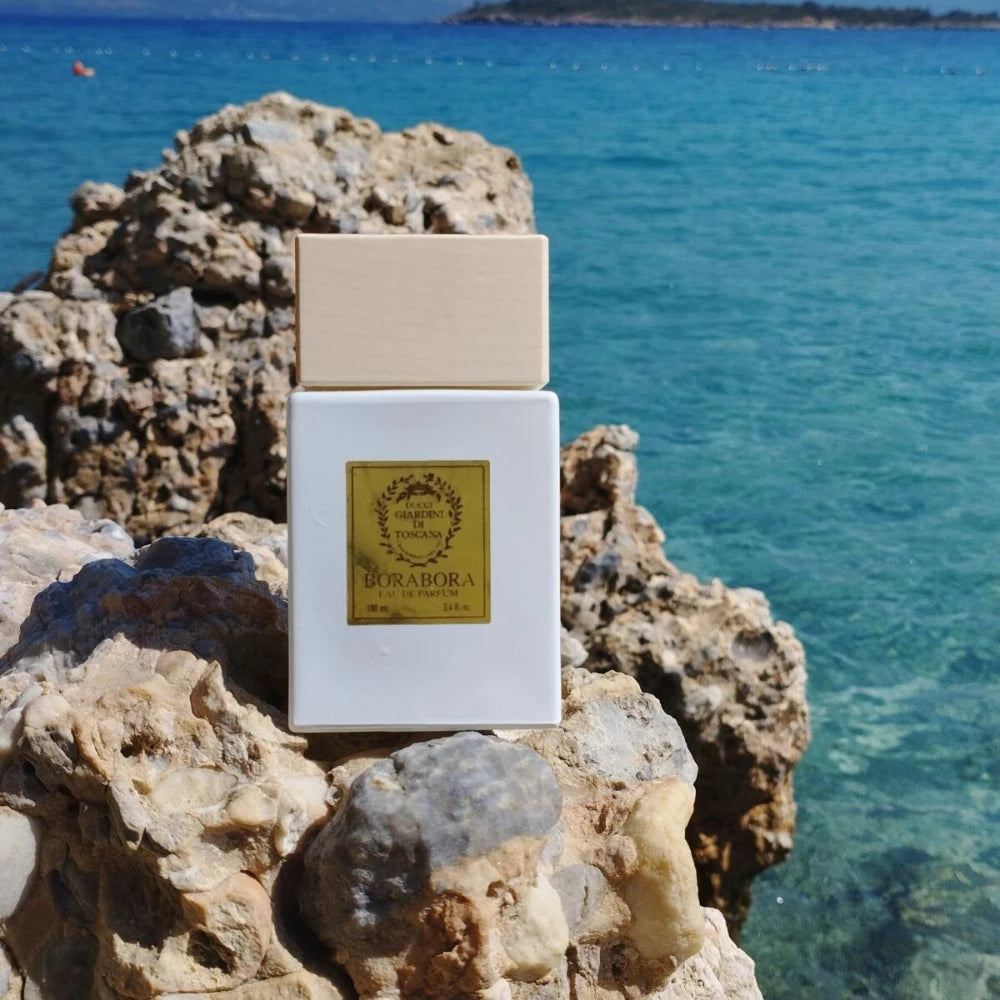 100ml Unisex Perfume Collection – Long Lasting Citrus & Woody Fragrance